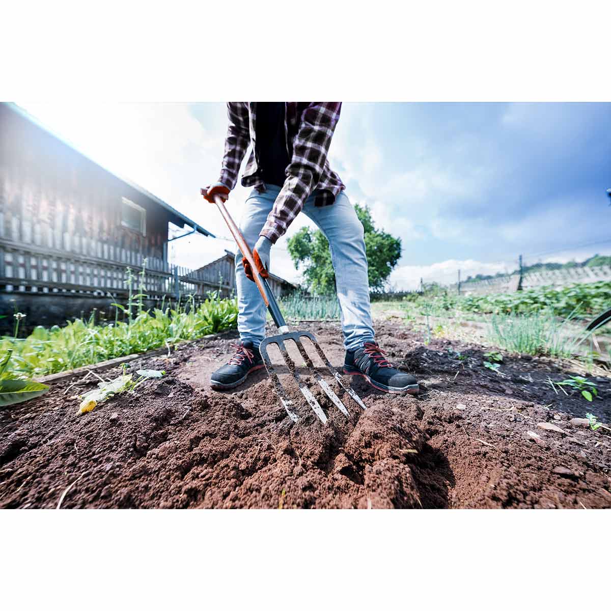Black Forest Large Spade Fork with T-handle