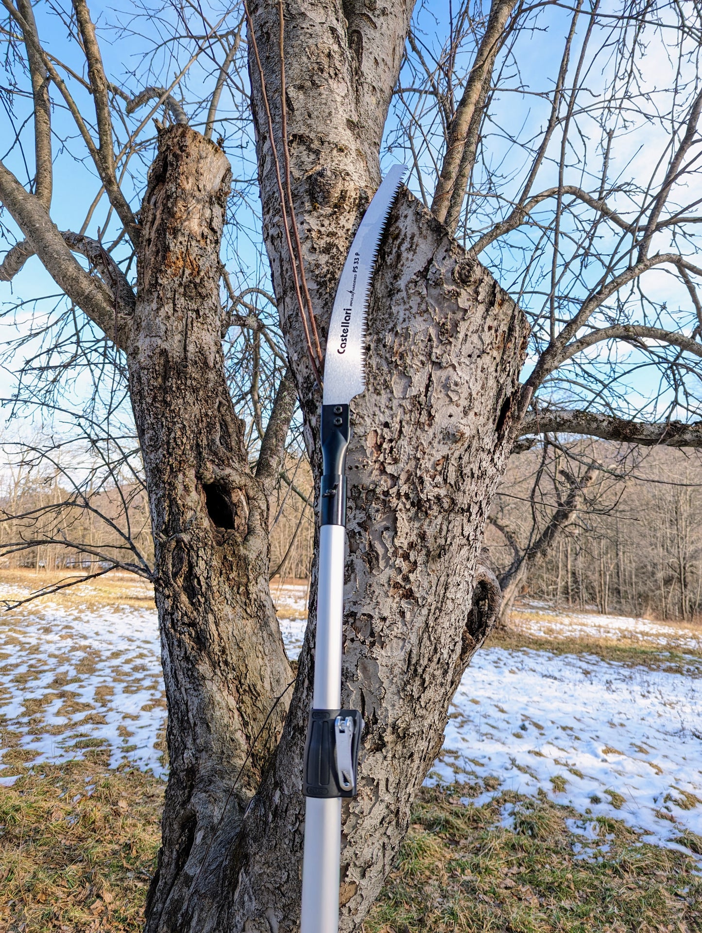 AT3 Pole Saw kit 14-foot reach with 13" 33P Blade