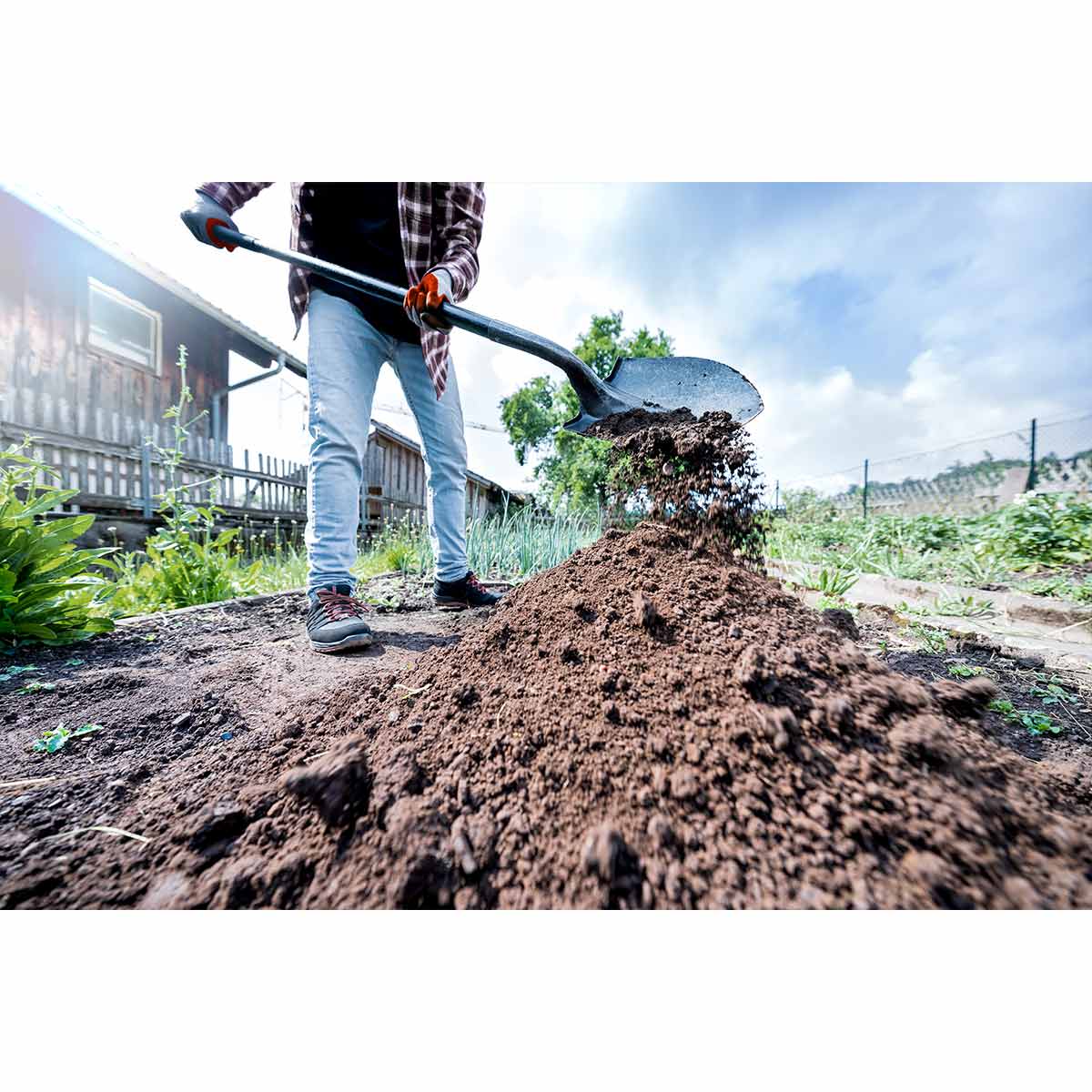 German Spade Shovel – Gr. 1, with black grip and ash handle 120 cm